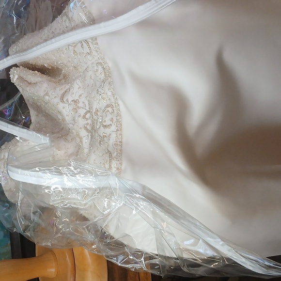 New!!! Tags!!ALFRED ANGELO 'MARGE MOONLIGHT' EMBROIDERED COLLECTION Sz 10 A Line - Picture 13 of 17